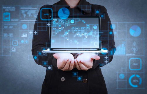 志愿填報(bào)熱門專業(yè)聚焦 網(wǎng)絡(luò)與信息安全與軟件開發(fā)位列報(bào)考人數(shù)前十