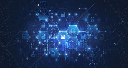 2025年入門網(wǎng)絡(luò)空間安全 前景、路徑與專精方向解析